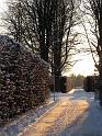 2010-11-30, erster Schnee (2)